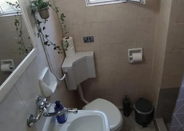 Chania Elia Chalepa * Ханья