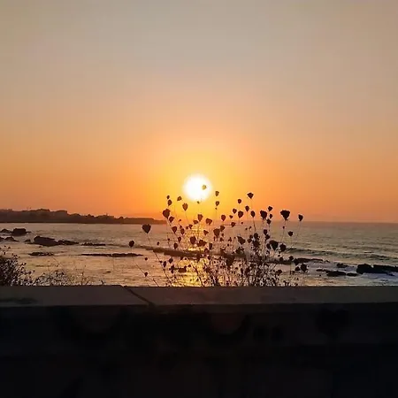 Elia Honolulu * Chania (Crete)